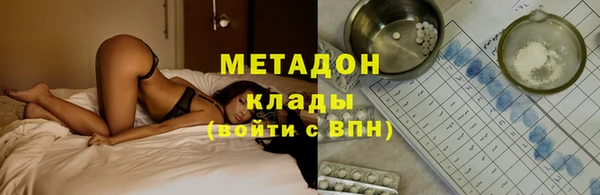 шишки Надым