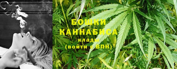 крисы Горняк