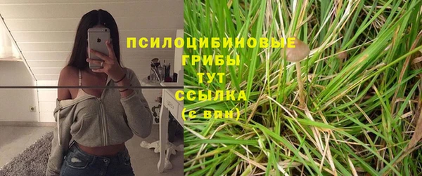 трава Кострома