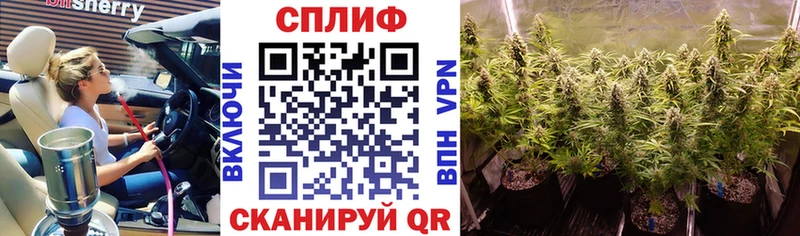 купить  цена  Будённовск  МАРИХУАНА MAZAR 